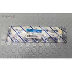 Emblema Fregio Logo...