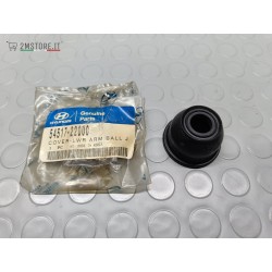 Cover Testina Braccio...