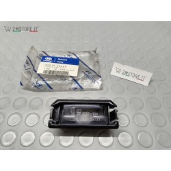 License plate light frame...