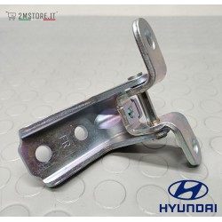 Cerniera Porta Anteriore...