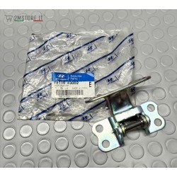 Cerniera BIlaterale Porta...