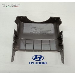 Copertura Cover Piantone...