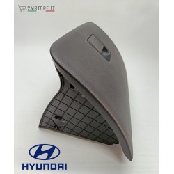 copy of Glove Box Cover...