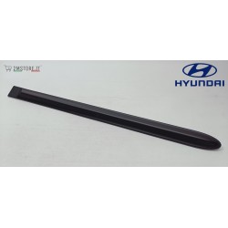 Modanatura Porta Posteriore...