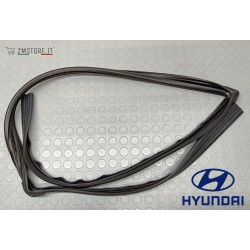 Guarnizione Finestrino...