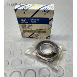 Manual Transmission Input...