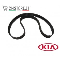 Cinghia Distribuzione...