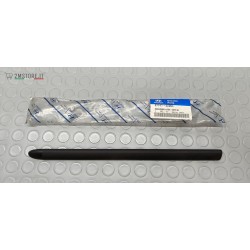 Front Right Cover roof Rack...