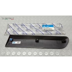 Right Body Side Molding...