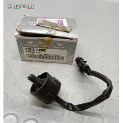 Sensore Temperatura Filtro...